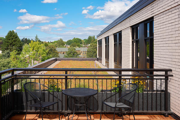 A fully vegetated green roof. Eco roof that processes all storm water on site. Rooftop patio looking over Southeast Portland.