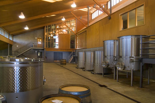 Sustainability Case Study: Penner-Ash Winery